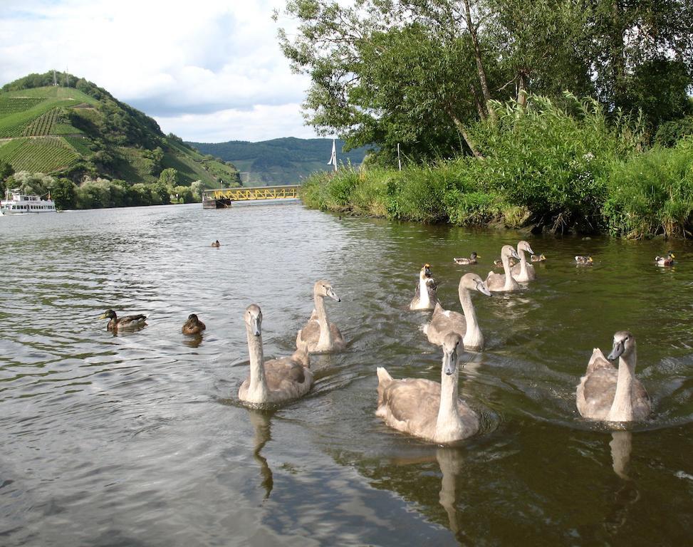 Residence Bellevue Boppard Bagian luar foto